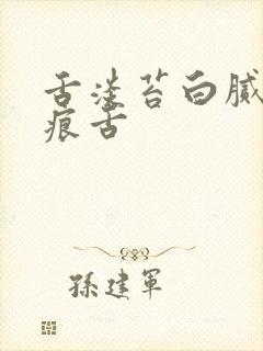 舌淡苔白腻有齿痕舌