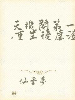 天机阁第一天才,重生后虐渣上神