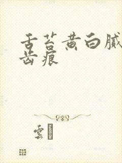 舌苔黄白腻厚有齿痕