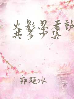 火影忍者动漫一共多少集