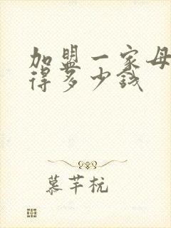 加盟一家母婴店得多少钱