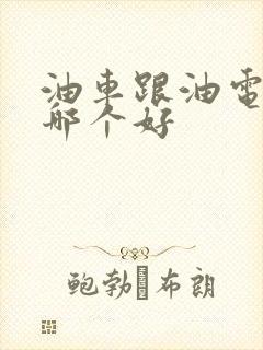 油车跟油电混动哪个好