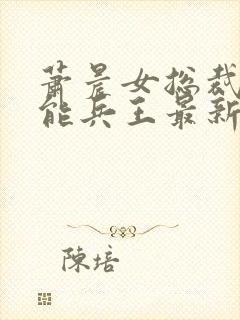 萧晨女总裁的全能兵王最新章节