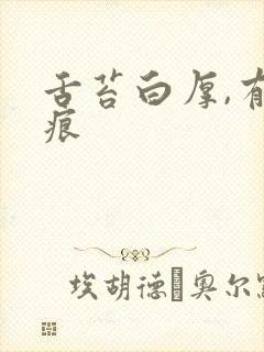 舌苔白厚,有齿痕