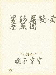 男的尿发黄是什么原因