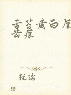 舌苔黄白厚腻有齿痕