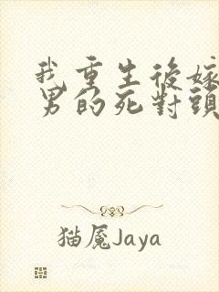 我重生后嫁给渣男的死对头