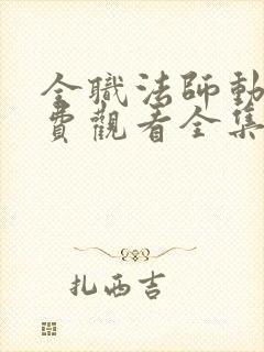 全职法师动漫免费观看全集第二季