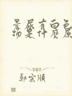 晨尿有白色絮状物是什么原因