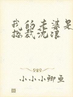 我的老婆是冰山总裁沈浪