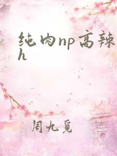 纯肉np高辣文h
