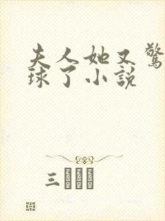 夫人她又惊艳全球了小说