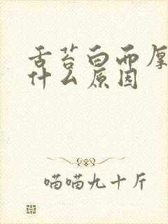 舌苔白而厚重是什厶原因