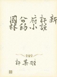 国公府许新许昭林的小说