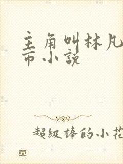 主角叫林凡的都市小说