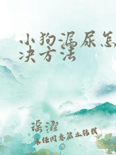 小狗漏尿怎么解决方法