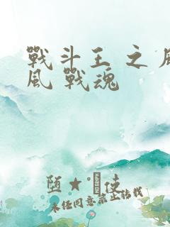 战斗王 之 飓风 战魂