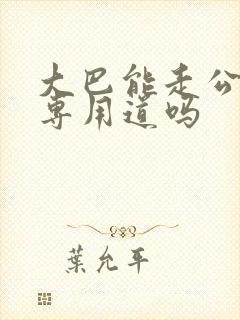 大巴能走公交车专用道吗