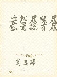 突然尿频尿不尽感觉总有尿意怎么办