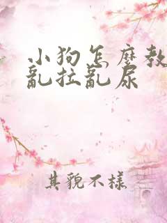 小狗怎么教它不乱拉乱尿