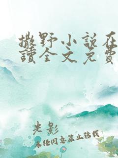 撒野小说在线阅读全文免费