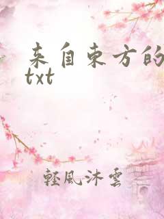 来自东方的骑士txt