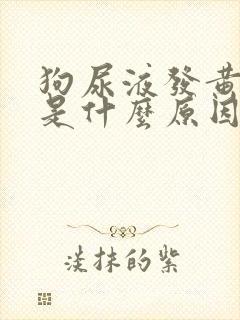 狗尿液发黄很稠是什么原因