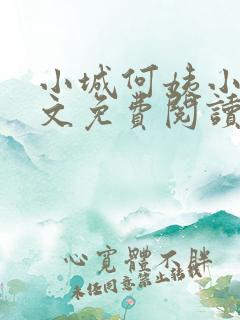 小城何姨小说全文免费阅读