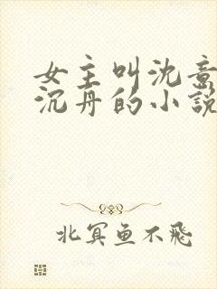 女主叫沈意欢陆沉舟的小说免费阅读