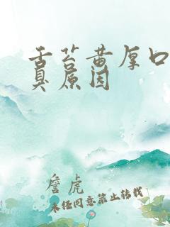 舌苔黄厚口苦口臭原因