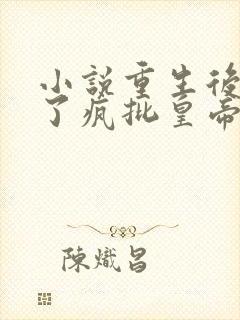 小说重生后我成了疯批皇帝白月光txt