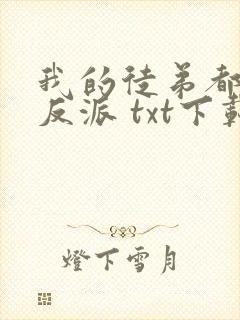 我的徒弟都是大反派 txt下载