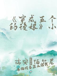《穿成五个反派的后娘》小说