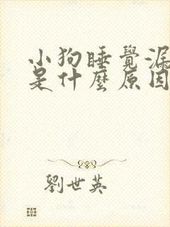 小狗睡觉漏尿了是什么原因