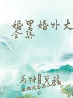 婚里婚外大结局全集