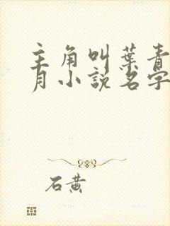 主角叫叶青高清月小说名字是什么