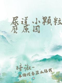 尿道小颗粒是什么原因