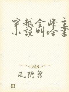 穿越金峰主角的小说叫啥书名