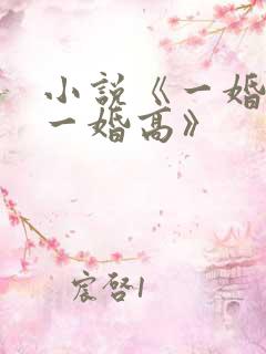 小说《一婚还比一婚高》