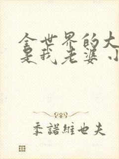 全世界的大佬都是我老婆 小说