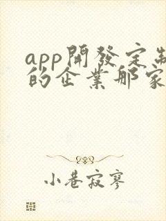 app开发定制的企业那家好