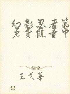 幻影忍者第8季免费观看中文版