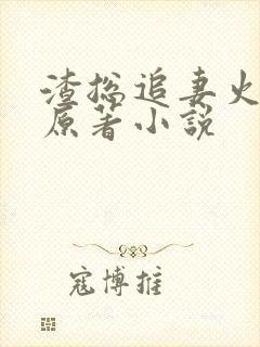 渣总追妻火葬场原著小说