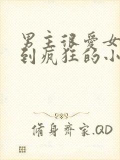 男主很爱女主爱到疯狂的小说