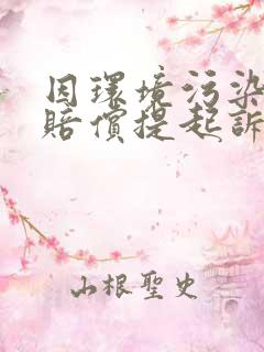 因环境污染损害赔偿提起诉讼的时效