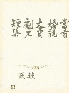 短剧大婚当日全集免费观看