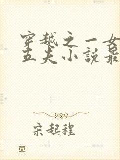 穿越之一女共侍五夫小说最新章节