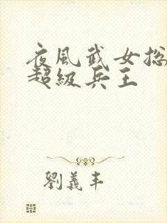 夜风武女总裁的超级兵王