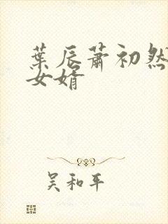 叶辰萧初然上门女婿