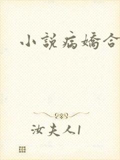 小说病娇合集h